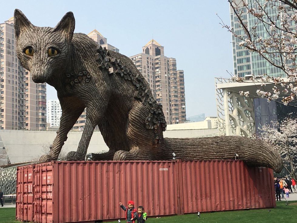 Large fox on shipping containers